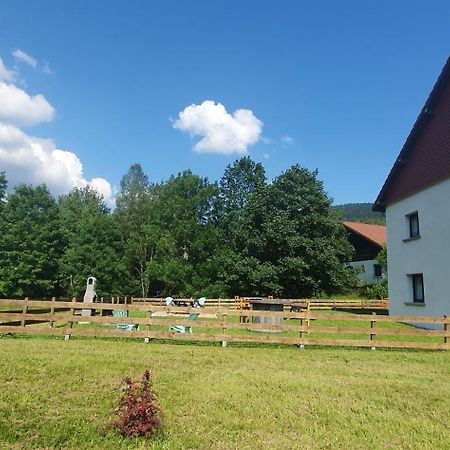 Appart Le Cerf 4 étoiles 74m2 Cornimont Esterno foto