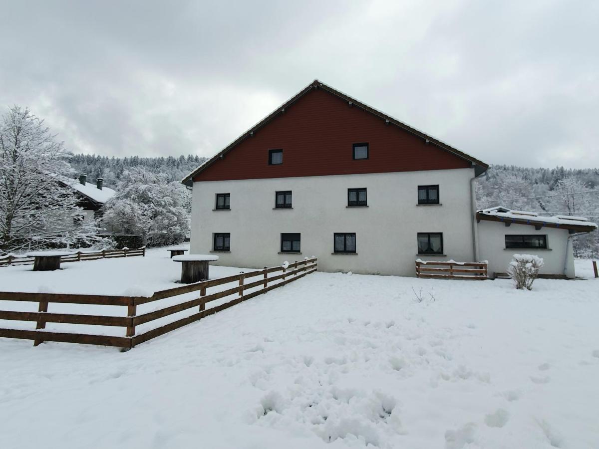 Appart Le Cerf 4 étoiles 74m2 Cornimont Esterno foto